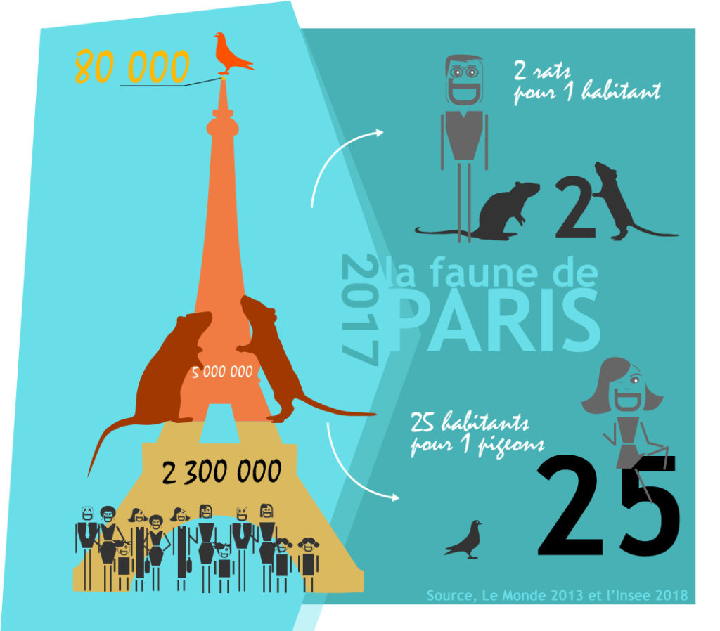 infographie faune de paris 2017