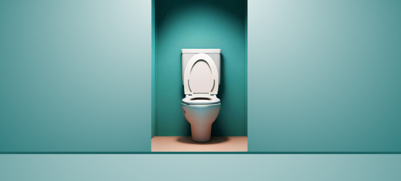 L’Évolution des Toilettes